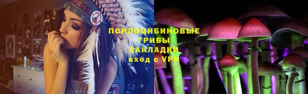 индика Горно-Алтайск