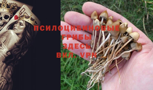 индика Горно-Алтайск