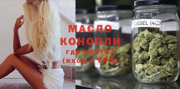 индика Горно-Алтайск