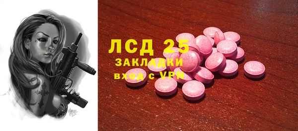 индика Горно-Алтайск