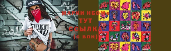 индика Горно-Алтайск