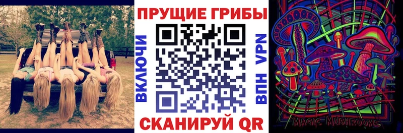 Купить  Пикалёво  Псилоцибиновые грибы Cubensis 